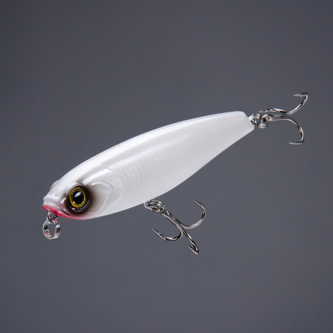IMG_8641832_2