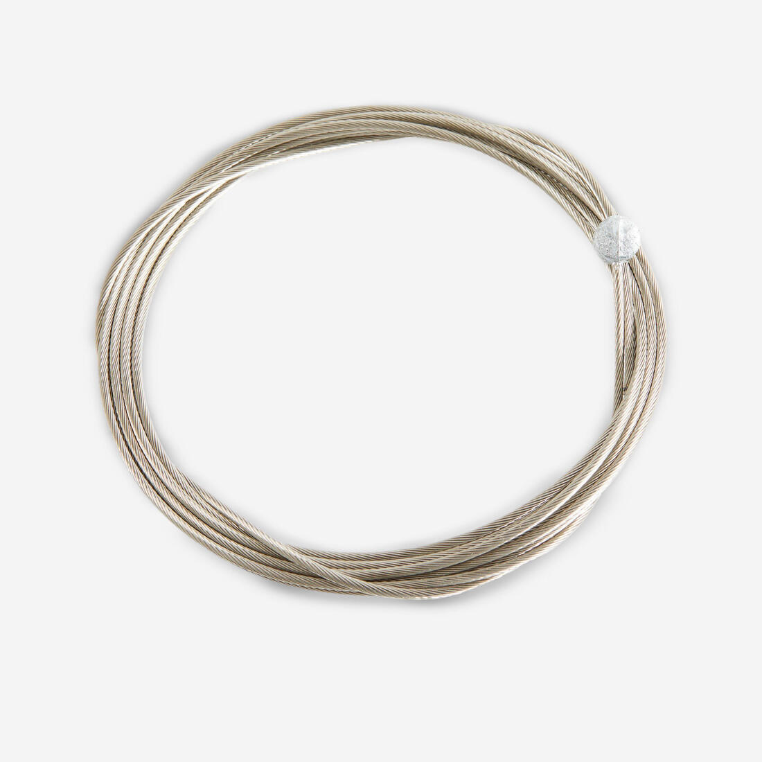IMG_8555307_1