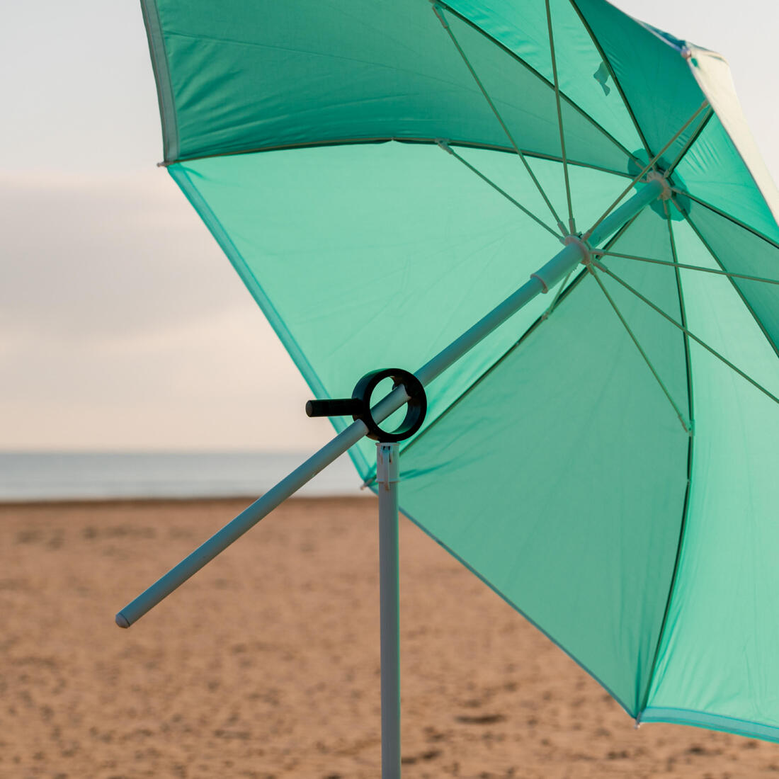 IMG_8790024_2