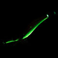 IMG_2271572
