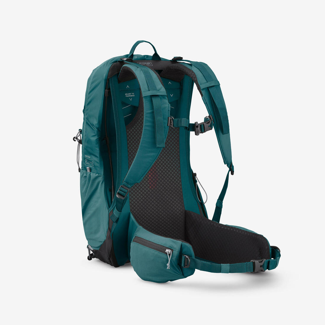 IMG_8912493_2