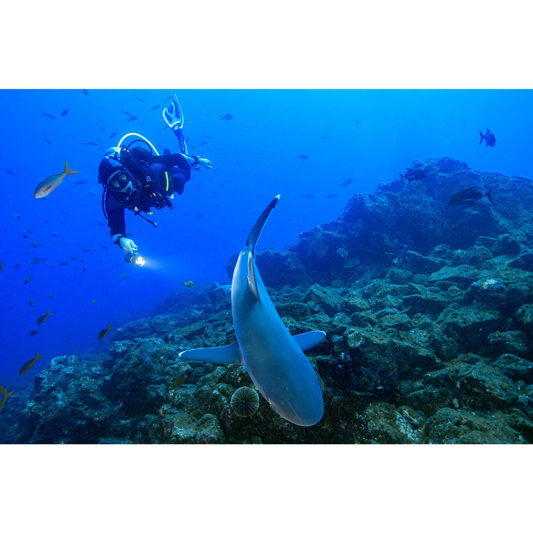 IMG_967833_8