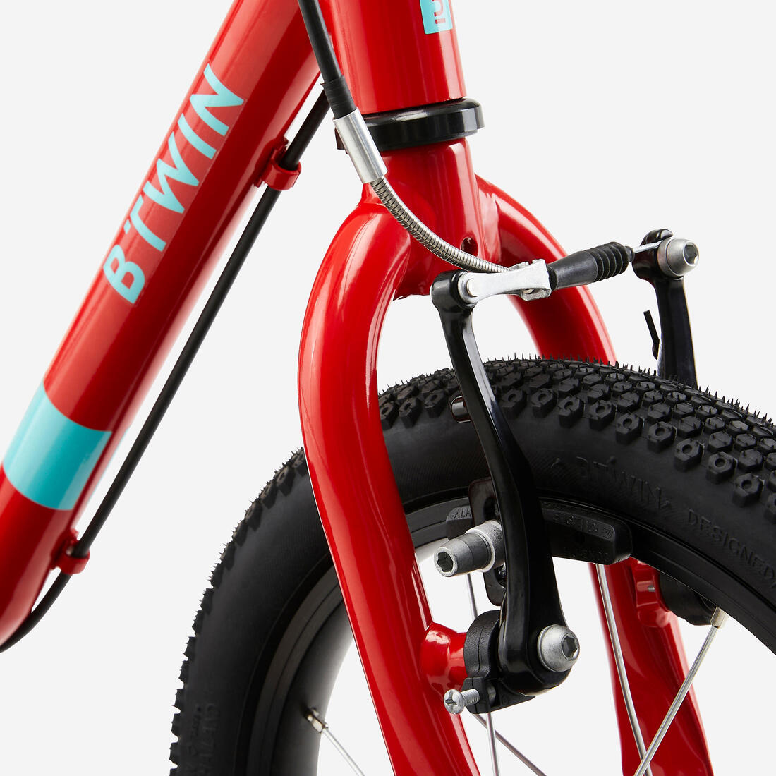 IMG_8646304_8