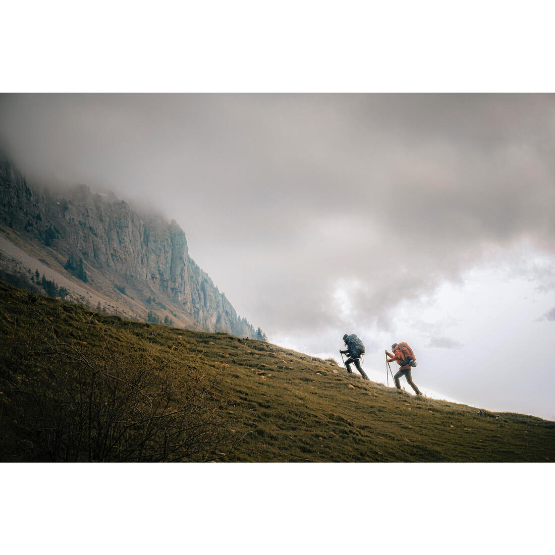 IMG_8787779_12