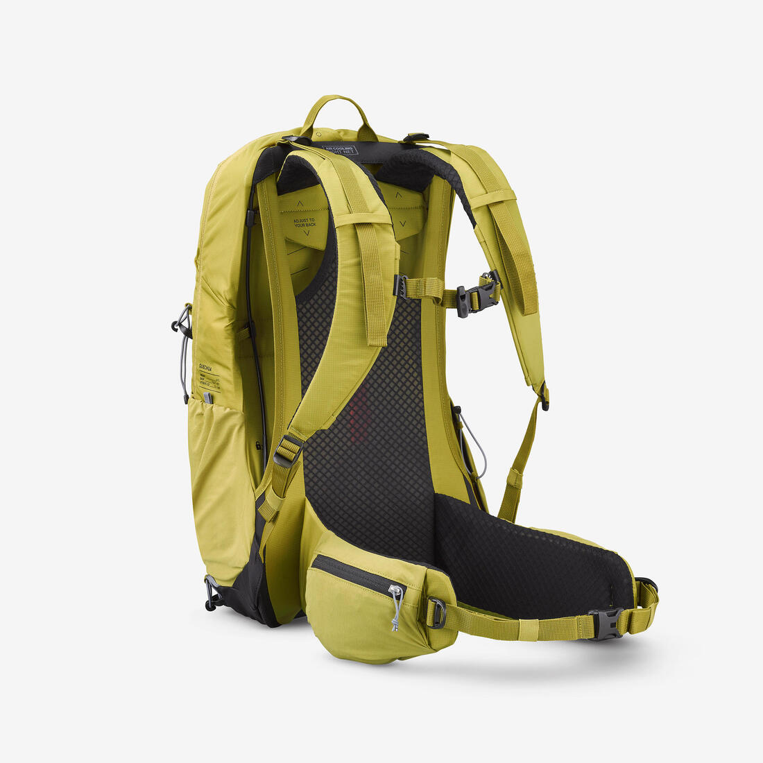 IMG_8916232_2