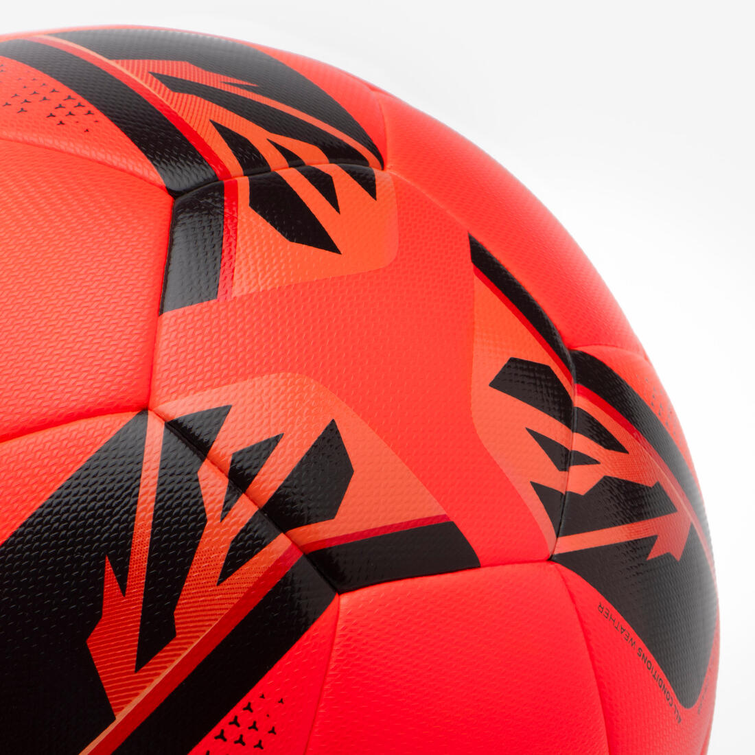 IMG_8790035_11