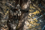 Product thumbnail 9 of 13