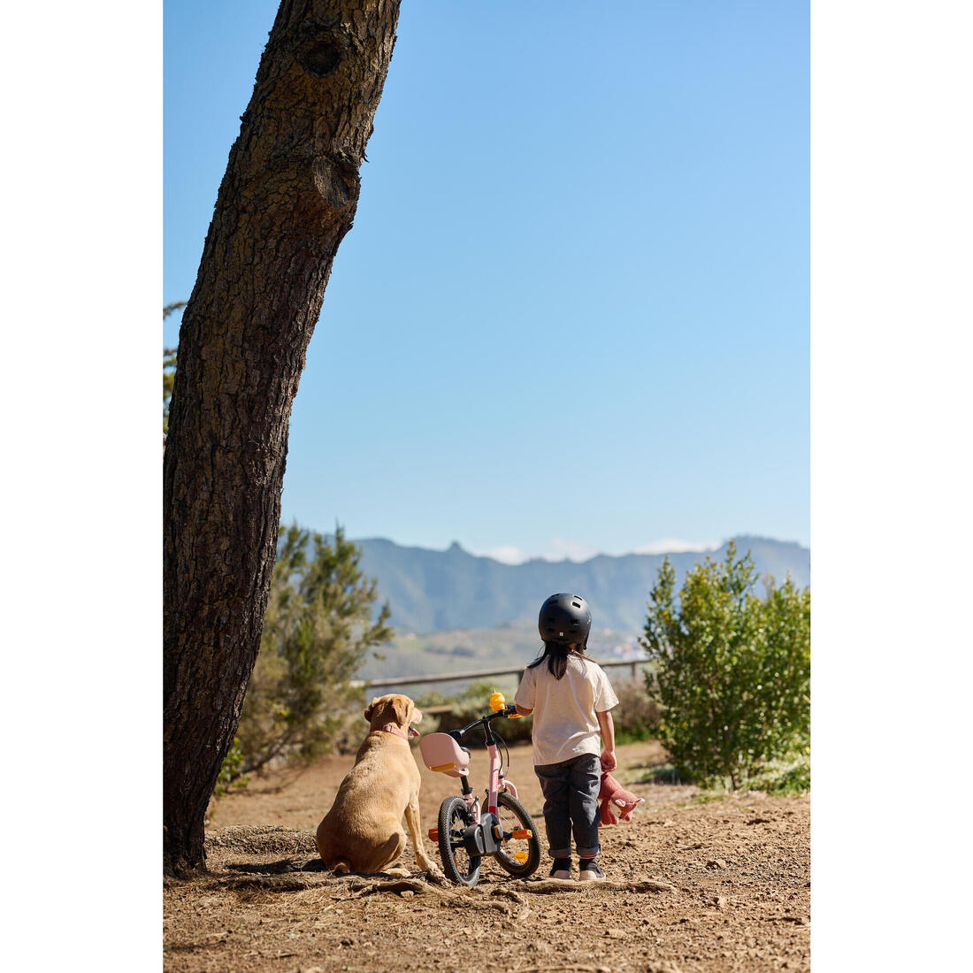 IMG_8646305_20