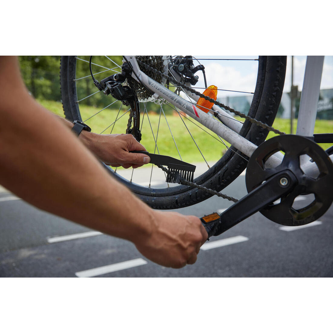IMG_8608977_8