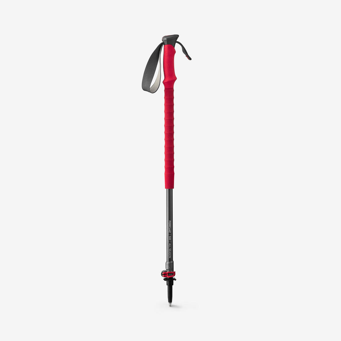 IMG_8384958_1
