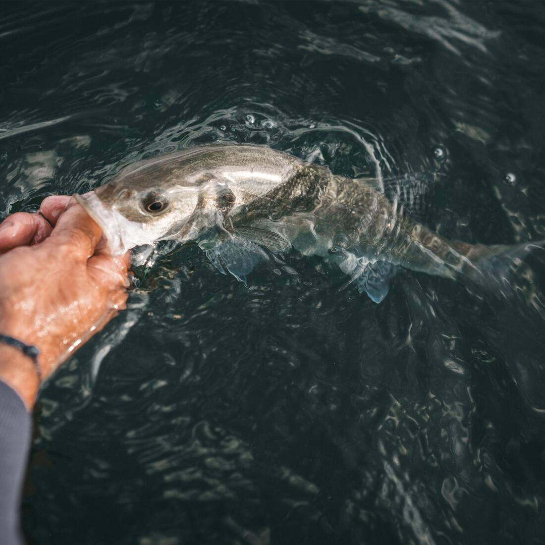 IMG_8828499_9
