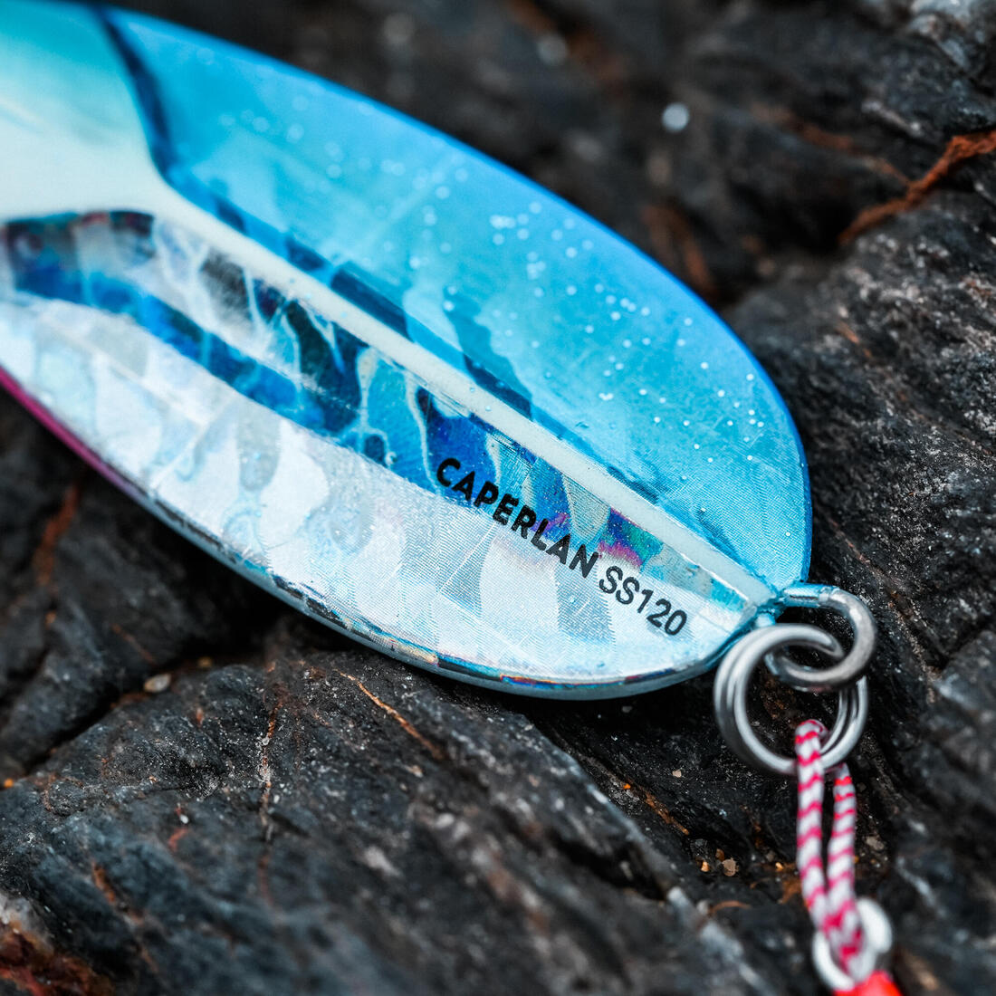 IMG_8646660_6