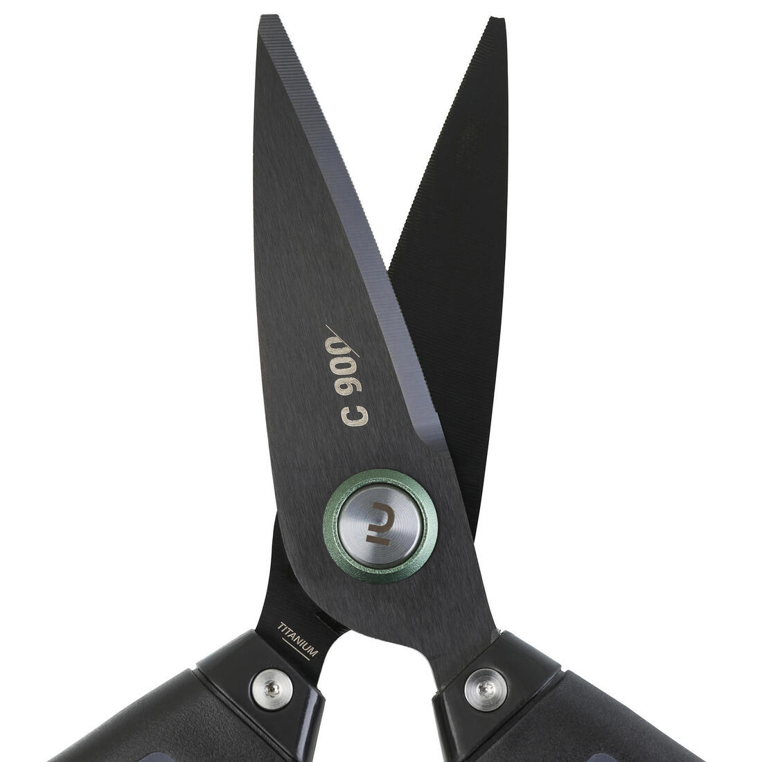 IMG_8606587_3