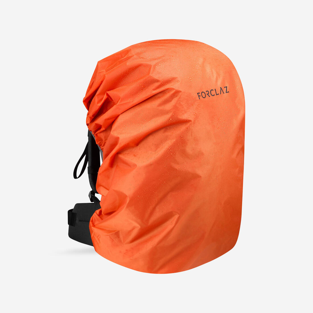 IMG_8559822_1