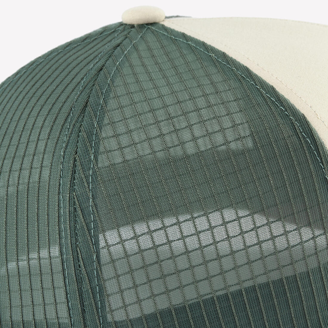 IMG_8969377_8