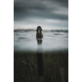 IMG_8641833_7