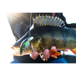 Product thumbnail 5 of 6