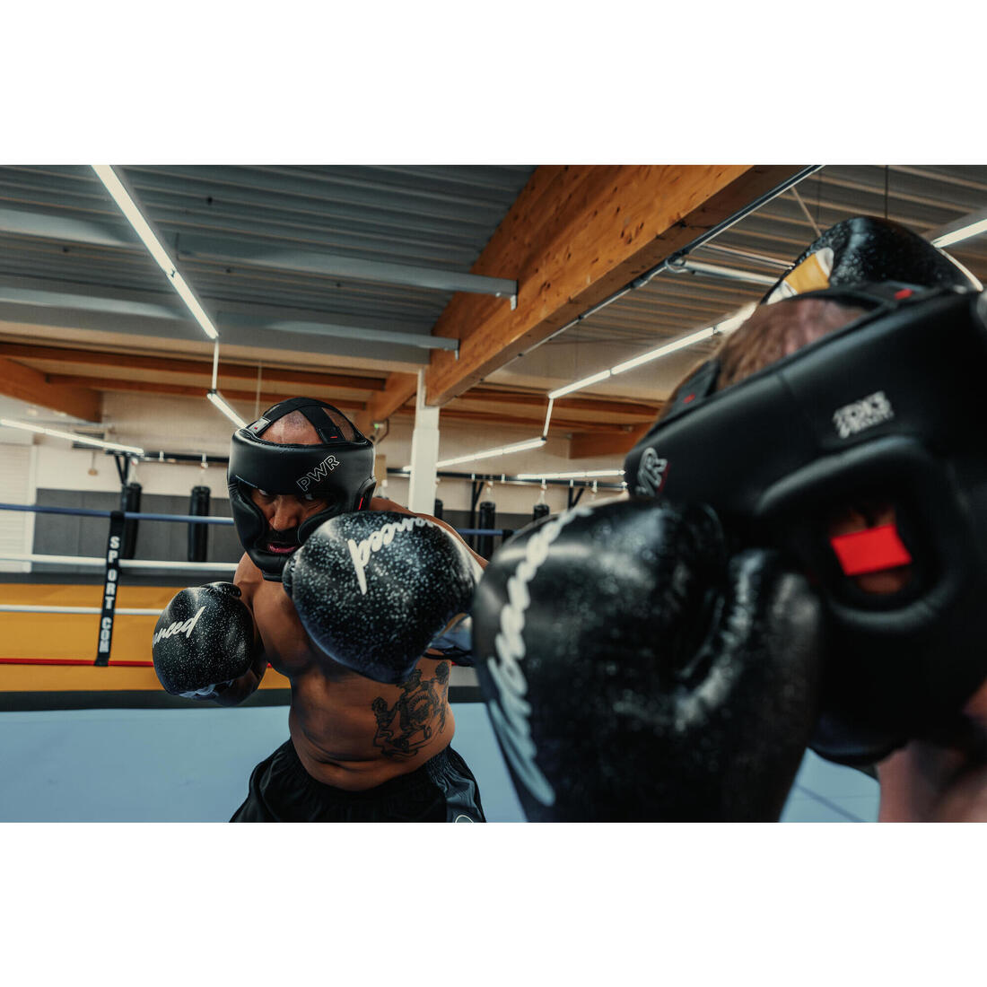 IMG_8580996_5