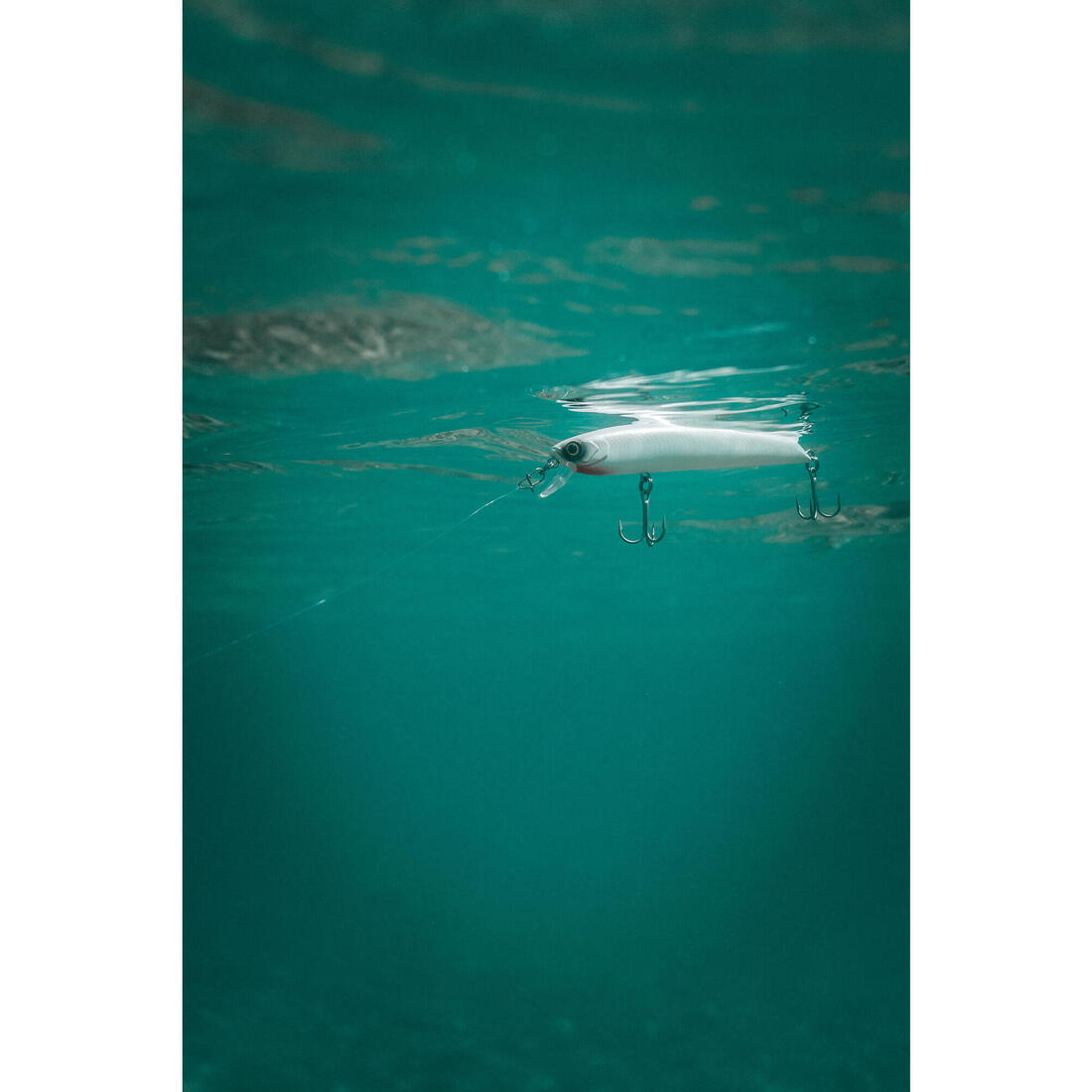 IMG_8606228_5